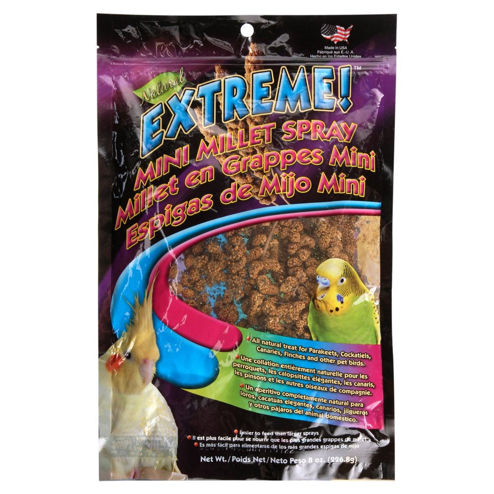 FM Browns Millet Cockatiel Bird Treats, 8 Oz. Bag Animals & Pet Supplies > Pet Supplies > Small Animal Supplies > Small Animal Food F.M. Brown's Sons, Inc.   