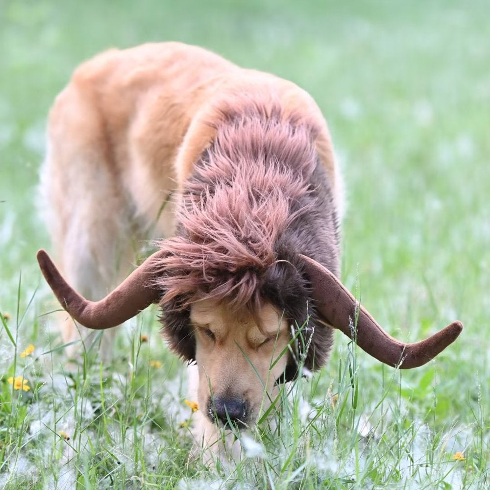 Lion Mane Wig for Dogs Funny Pet Cat Costumes for Halloween