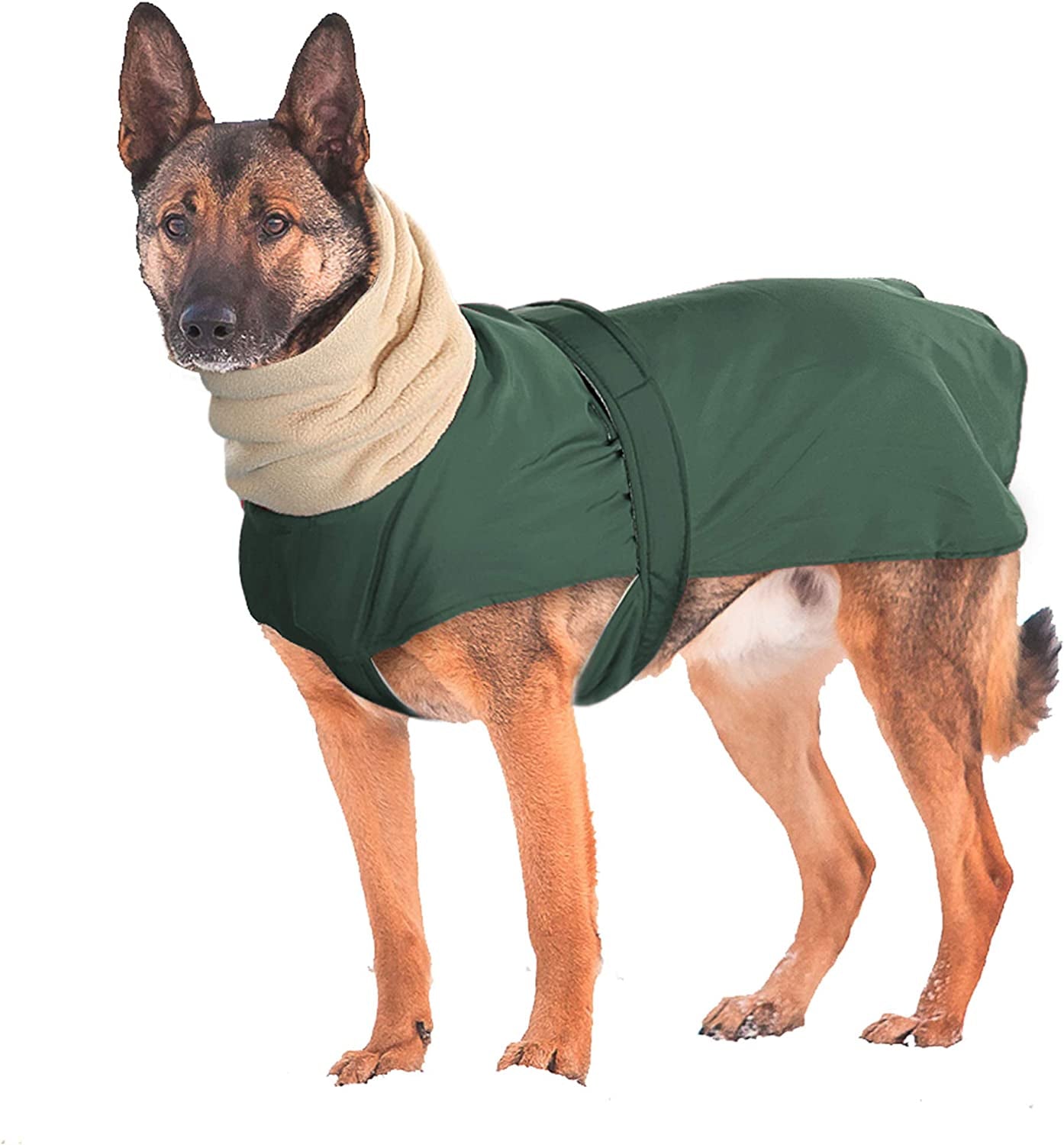 Didog Waterproof Dog Winter Jacket with Turtleneck Scarf, Pets Cold Weather Coats with Soft Warm Fleece Lining,Windproof Snowsuit Outdoor Apparel for Medium Large Dogs,Green Animals & Pet Supplies > Pet Supplies > Dog Supplies > Dog Apparel Didog Green Chest:29-37" Back Length:31" 