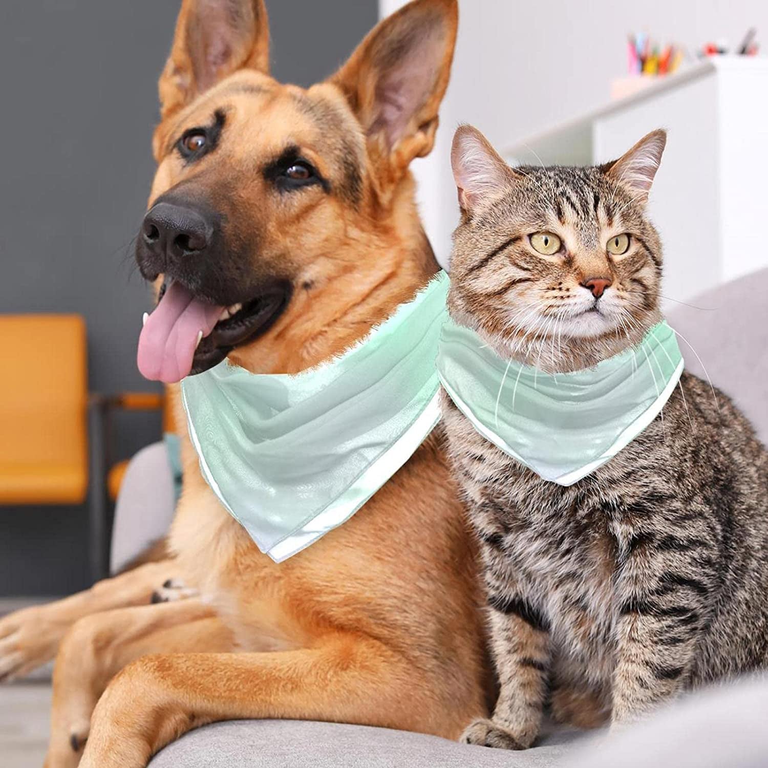 Dog Bandanas,Cat Triangle Bibs,Two Sizes,Minimalist Style Green,Pet Scarf for Small Medium Large Pets Animals & Pet Supplies > Pet Supplies > Dog Supplies > Dog Apparel tzhcjsjgs   