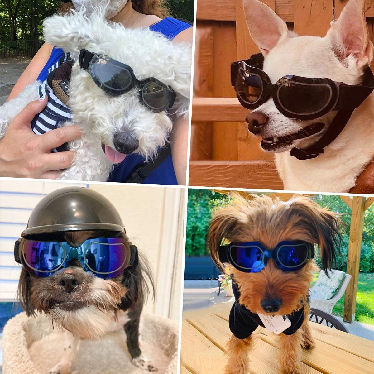 ENJOYING Dog Goggles Small Dog Sunglasses UV Protection Big Cat Glasses Fog/Windproof Outdoor Doggy Eye Protective with Adjustable Band for Small Dogs, Blue Animals & Pet Supplies > Pet Supplies > Dog Supplies > Dog Apparel Enjoying   