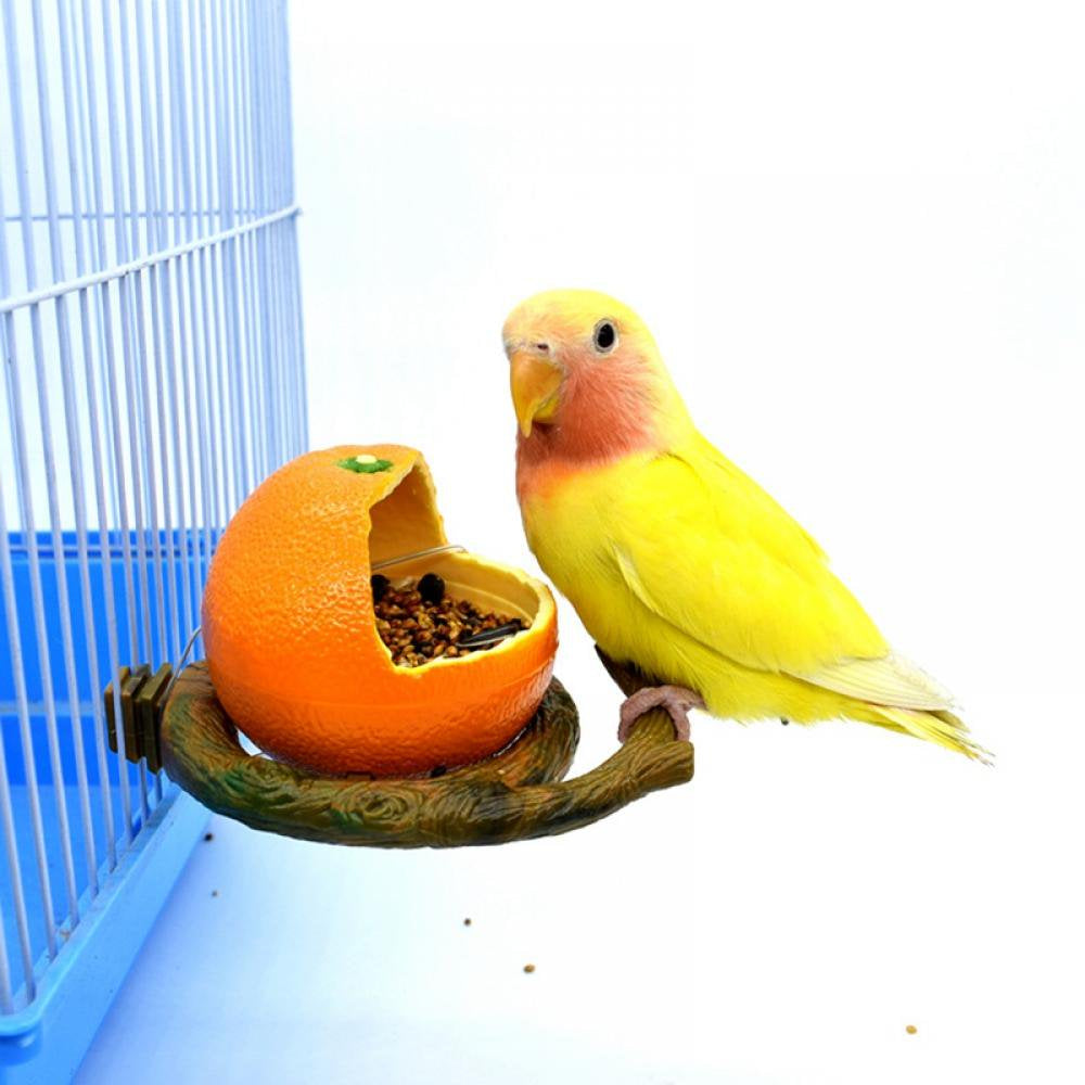 Pet Birds Feeder Bowl, Bird Food Feeding Bowl Feed Cup for Small Parrots Cockatiels Conure Hamster Small Animal Drinking Water Container for Birds Cage Accessories (Apple) Animals & Pet Supplies > Pet Supplies > Bird Supplies > Bird Cage Accessories BOLLSLEY   