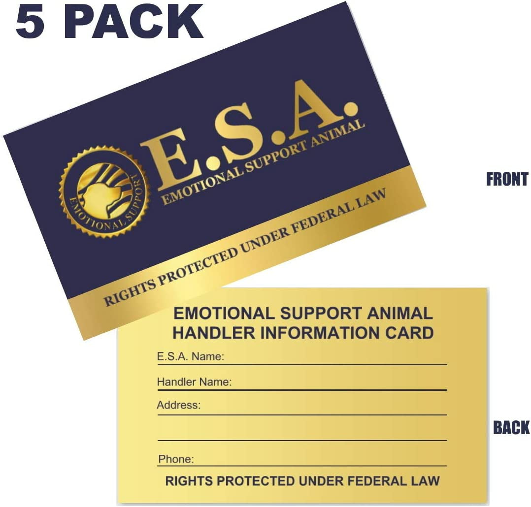 Premium Emotional Support Dog Vest | ESA Dog Vest | Mesh Cooling Panel | Emotional Support Dog Harness | Includes 5 Federal Law ESA Handout Cards (9" - 13" Girth, Red) Animals & Pet Supplies > Pet Supplies > Dog Supplies > Dog Apparel Working Service Dog   