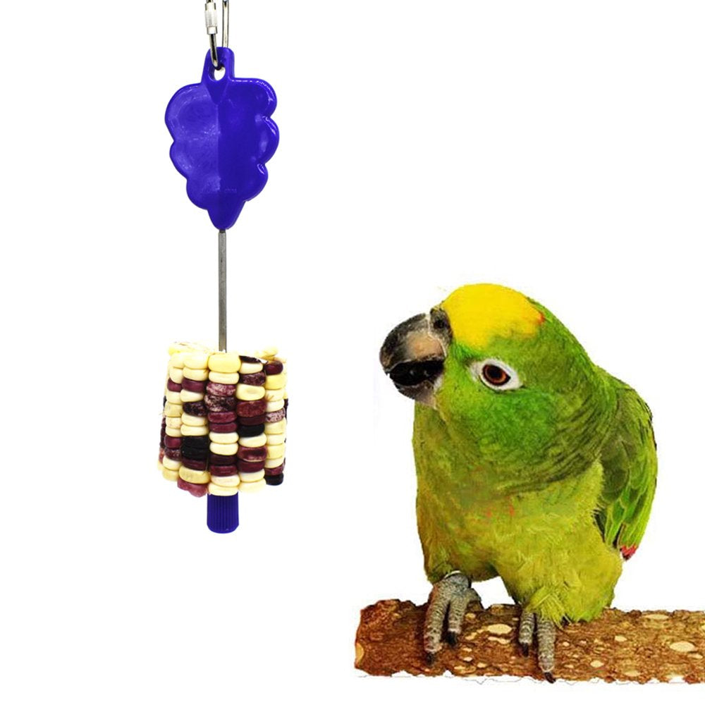 AOOOWER Stainless Steel Meat Food Holder Stick Fruit Skewer Bird Treating Tool Parrot Toy Cage Accessories Animals & Pet Supplies > Pet Supplies > Bird Supplies > Bird Cage Accessories AOOOWER   