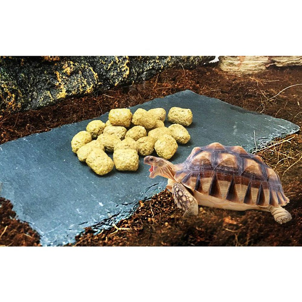 Dish for Reptile Amphibians Food Bowl Natural Rock Tortoise, Horned Frogs, Bullfrogs, Rainforest Skinks, Lizards -24 X 12 Cm Rectangle Animals & Pet Supplies > Pet Supplies > Reptile & Amphibian Supplies > Reptile & Amphibian Food Generic   