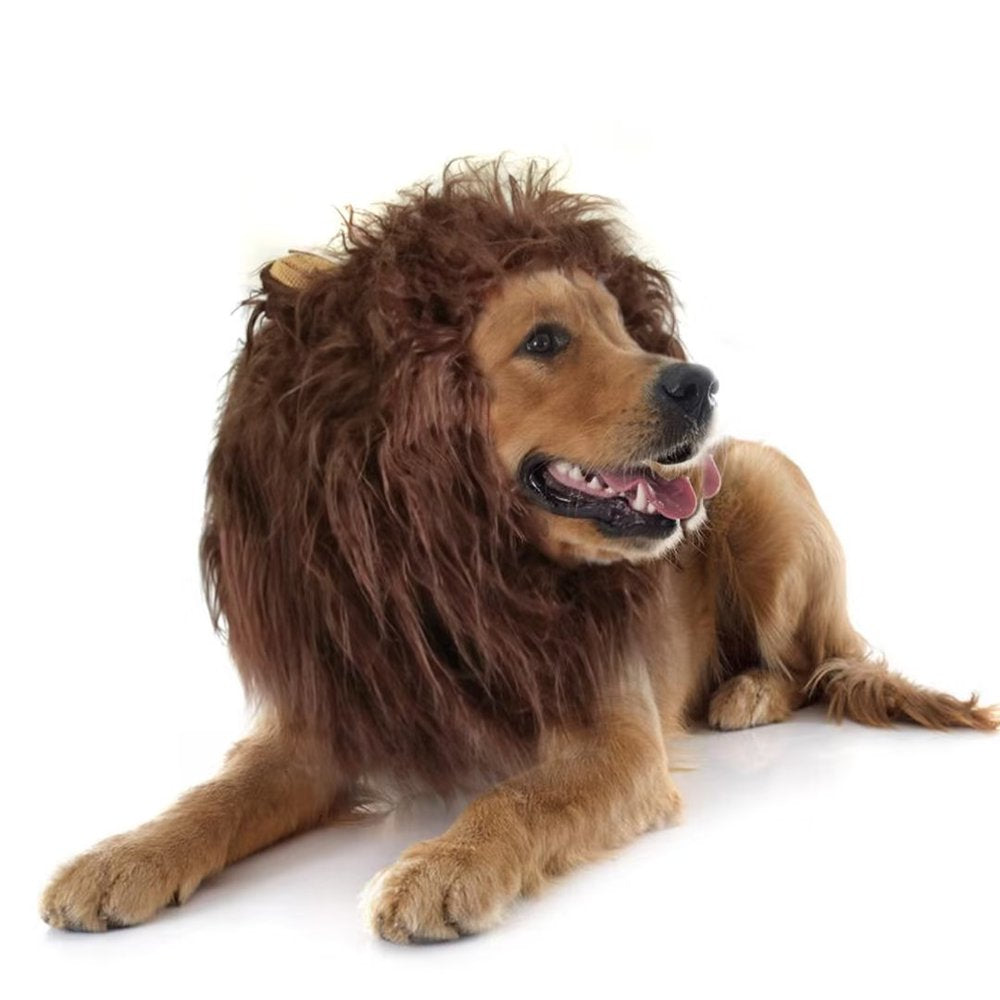 Lion Mane Wig for Dogs, Funny Pet Halloween Costumes, Furry Dog Clothing Accessories (Size L, Black)
