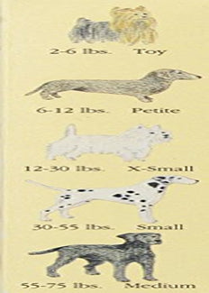 Seasonals 41116HFL Washable Female Dog Diaper, Hot Flames - Extra Large Animals & Pet Supplies > Pet Supplies > Dog Supplies > Dog Diaper Pads & Liners Seasonals   