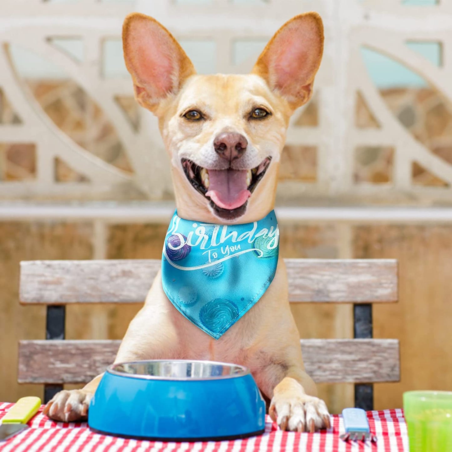 Dog Bandanas Suitable for Dog Bandana Boy & Girl Pet Birthday Triangle Scarf Dog Scarf Cotton Plaid Cat Dog Scarf Birthday Party Gift Adorable Puppy Wedding & Valentine’S Day Bandana (A, One Size) Animals & Pet Supplies > Pet Supplies > Dog Supplies > Dog Apparel Generic   