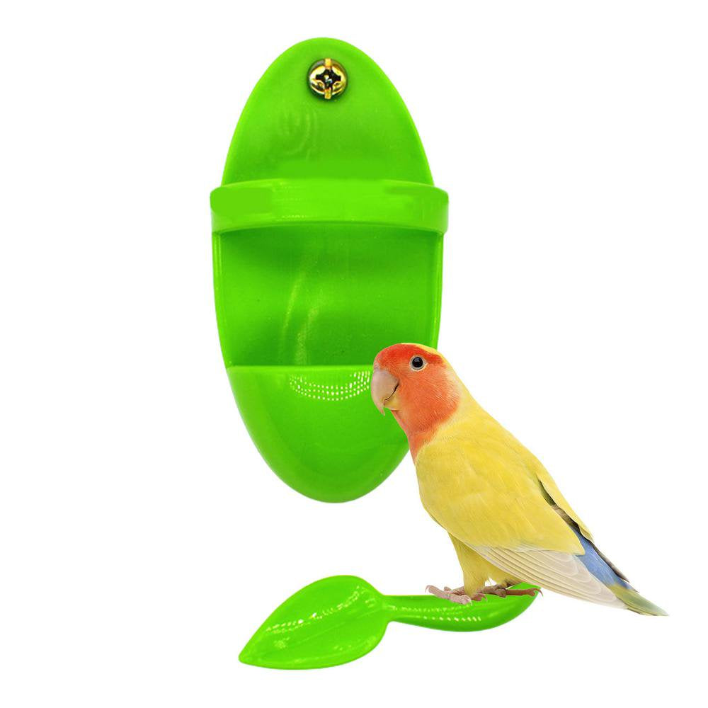 Cuttlebone Holder for Bird Cage | Cuttlebone Bird Cage Accessories Feeding Cup | Cuddle Bone Holder for Cockatiels Parakeets Budgies Finches Animals & Pet Supplies > Pet Supplies > Bird Supplies > Bird Cage Accessories FG01166   