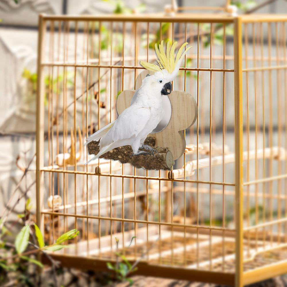 Fovolat Flower Bird Mirror with Perch Bird Parakeet Mirror for Cage Bird Stand Mirror Toys Birdcage Fun for Conure Cockatiel Budgie Gerbil African Grey Macaw Kindness Animals & Pet Supplies > Pet Supplies > Bird Supplies > Bird Cages & Stands Fovolat   