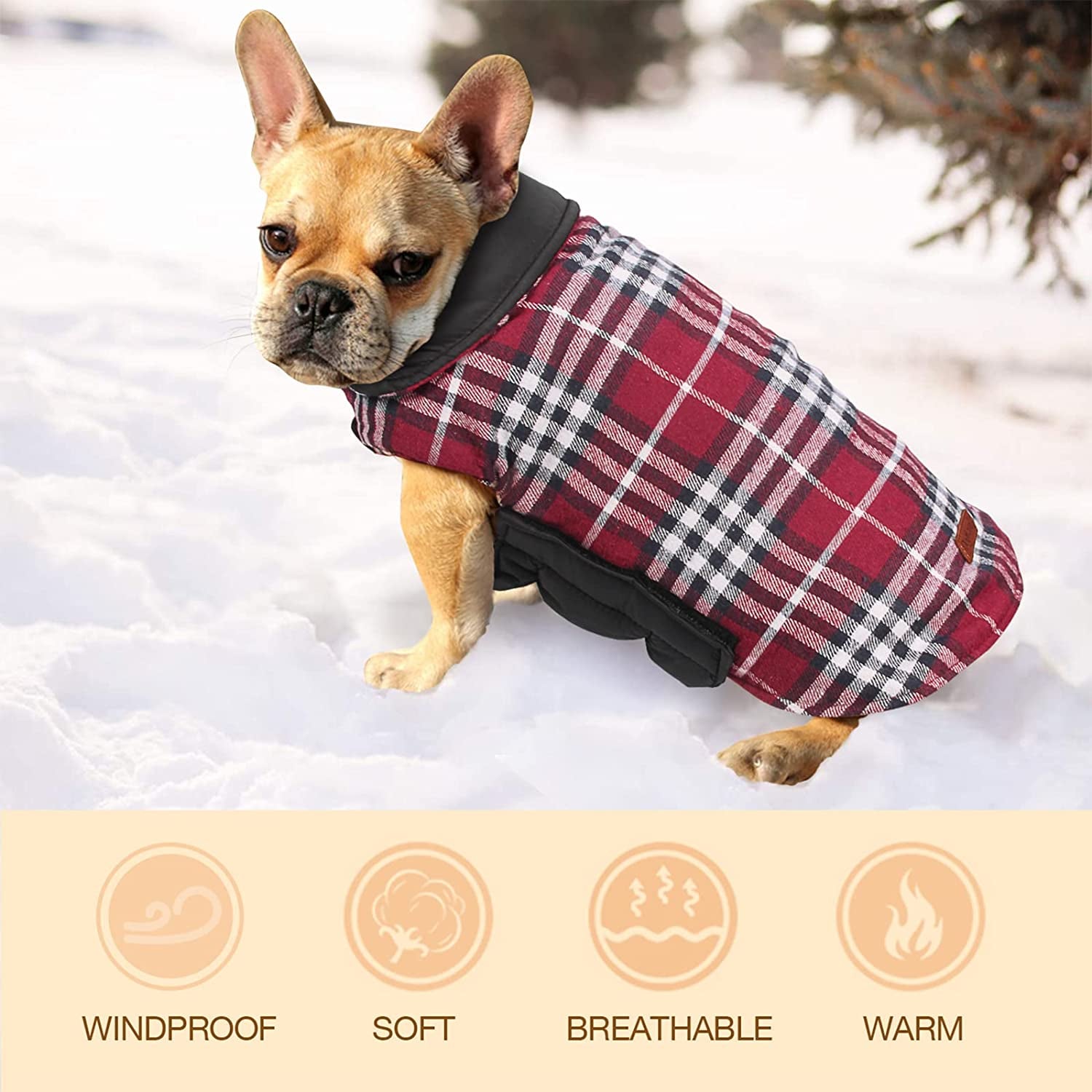 Ireenuo best sale dog coat