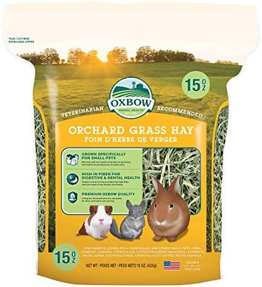 Oxbow Animal Health Orchard Grass Hay - All Natural Grass Hay for Chinchillas, Rabbits, Guinea Pigs, Hamsters & Gerbils - 15 Oz. Animals & Pet Supplies > Pet Supplies > Small Animal Supplies > Small Animal Food Rehoboth Tradings LLC   