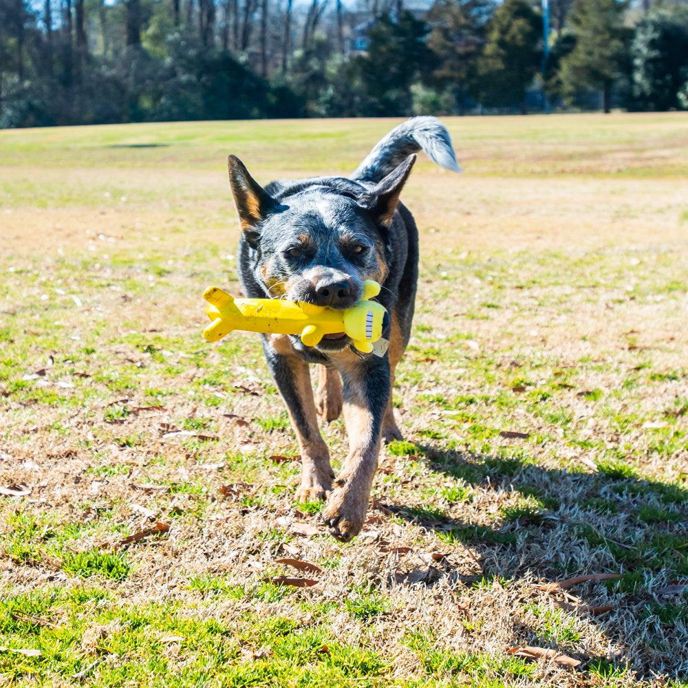 Multipet Smiling Dog Loofa Pals Latex Plush Dog Toy, Banana Shaped Animals & Pet Supplies > Pet Supplies > Dog Supplies > Dog Toys Multipet   