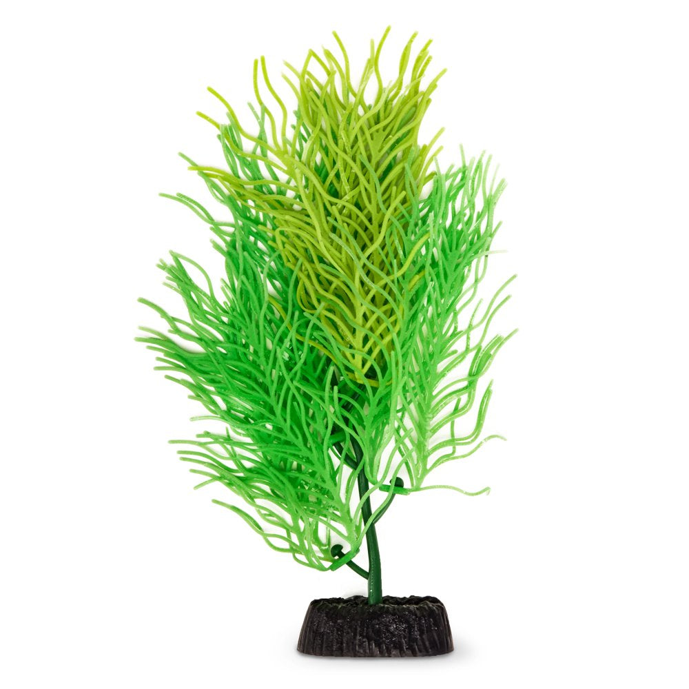 Aqua Culture Wavy Fern Aquarium Plant, Green Animals & Pet Supplies > Pet Supplies > Fish Supplies > Aquarium Decor Wal-Mart Stores, Inc.   