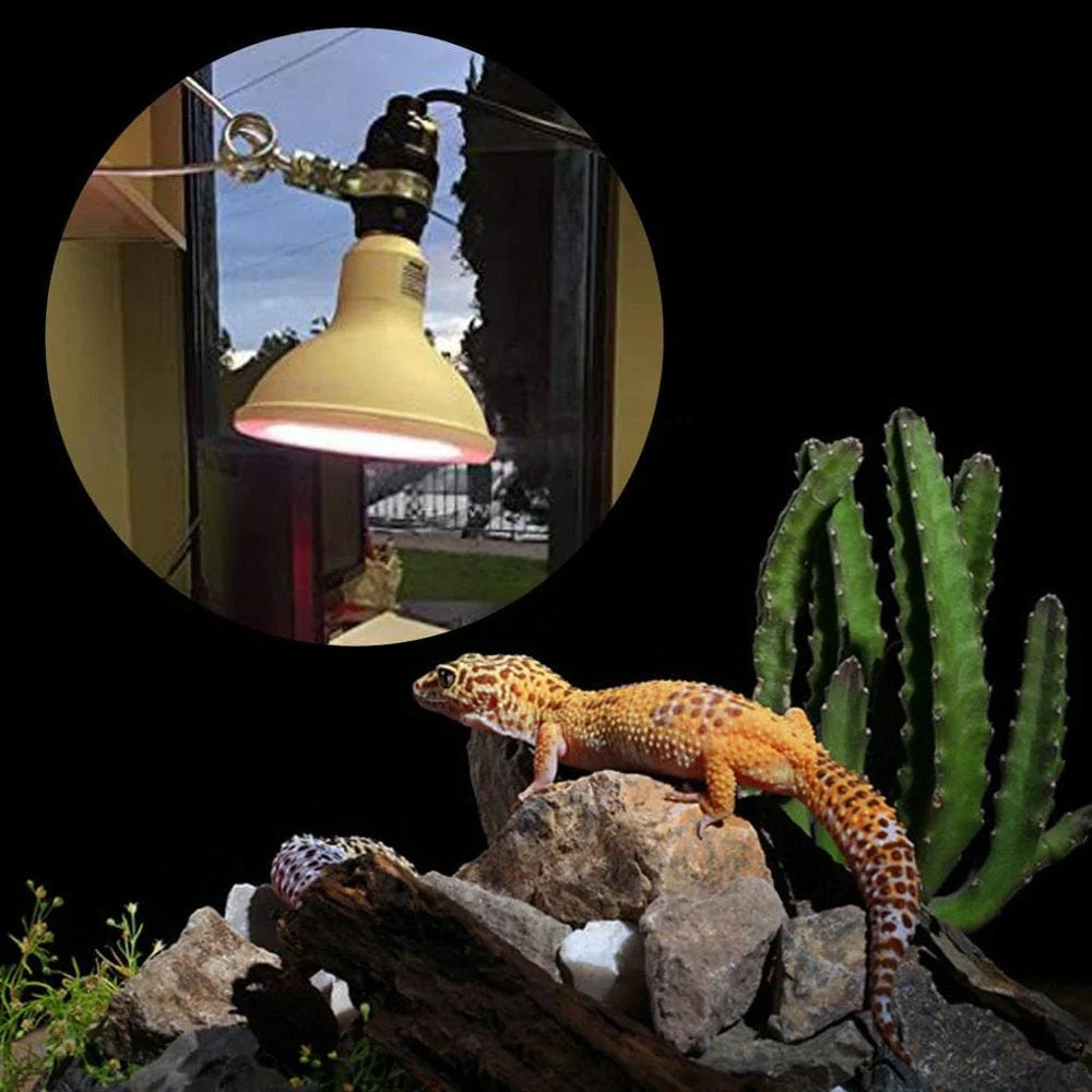 E27 UVA UVB Lamp Pet Heating Bulb Holder Fixture for Household, Reptiles, Amphibians, Aquarium Reptile Habitat Lighting, 110G120V US Plug