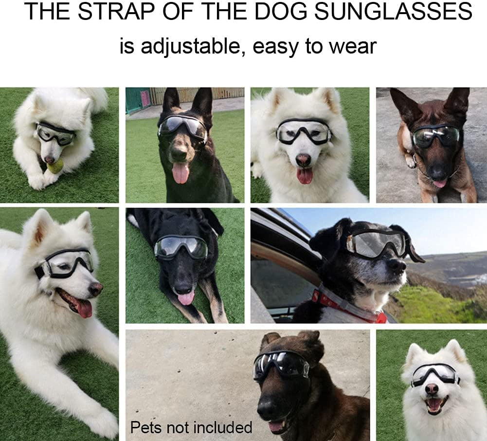 Dog Goggles,Dog Sunglasses,Waterproof Windproof Eye Protection Cool Dog Goggles,Dog Goggles with Adjustable Strap,Pet Glasses Eye Wear Protection for Medium/Large Dog(Transparent) Animals & Pet Supplies > Pet Supplies > Dog Supplies > Dog Apparel Saycker   