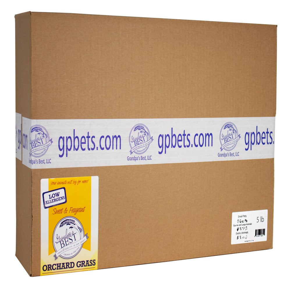 Grandpa'S Best Orchard Grass 5Lb Loose Boxed Hay for Small Animals Animals & Pet Supplies > Pet Supplies > Small Animal Supplies > Small Animal Food Grandpa's Best   