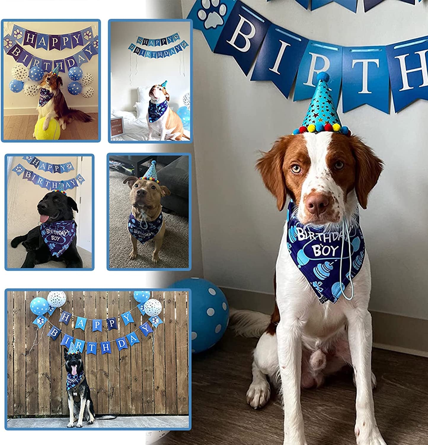 TCBOYING Dog Birthday Bandana, Dog Birthday Boy Hat Scarfs Flag Balloon with Cute Doggie Birthday Party Supplies Decorations(11-Piece Set) (Blue) Animals & Pet Supplies > Pet Supplies > Dog Supplies > Dog Apparel TCBOYING   