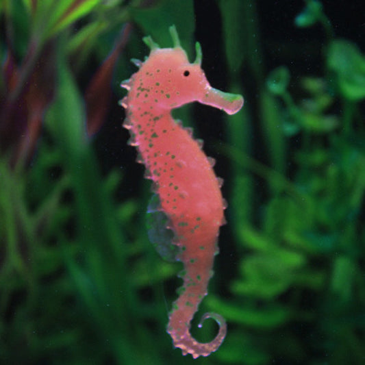 Baofu Aquarium Fish Tank Landscaping Decor Glowing Effect Animal Sea Horse Ornament