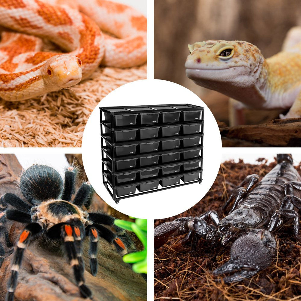 REPTIZOO Reptile Terrarium 72L×24D×24H Bottom Animals & Pet Supplies > Pet Supplies > Small Animal Supplies > Small Animal Habitat Accessories Etan Pet Supplies INC.   