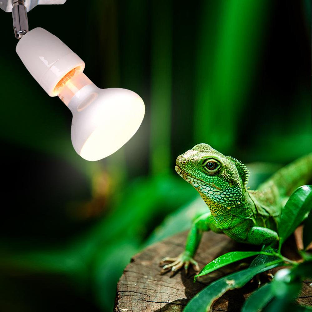 Dido Heating Lamp Socket Flexible E27 Lamp Socket Ceramic Socket Rotating Porcelain Socket Heat Lamp for Aquarium Reptile Bulb Not Included