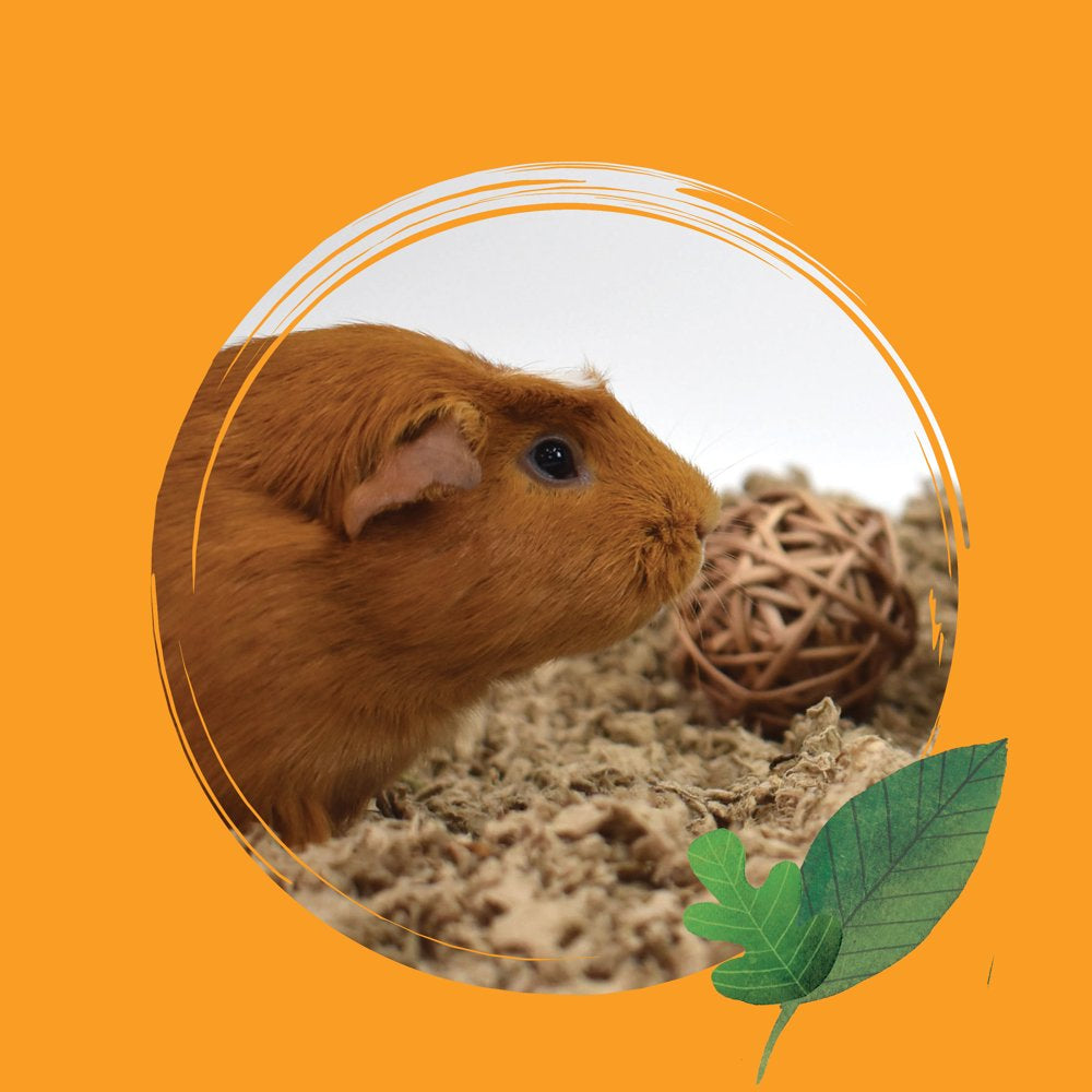 Healthy Pet Natural Paper Small Pet Bedding, Brown, 14 L Animals & Pet Supplies > Pet Supplies > Small Animal Supplies > Small Animal Bedding Absorption Corp   