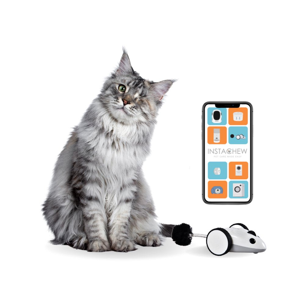 Instachew Purechase Automatic Cat Toy, App Enabled with USB Charging Animals & Pet Supplies > Pet Supplies > Cat Supplies > Cat Toys Instachew   