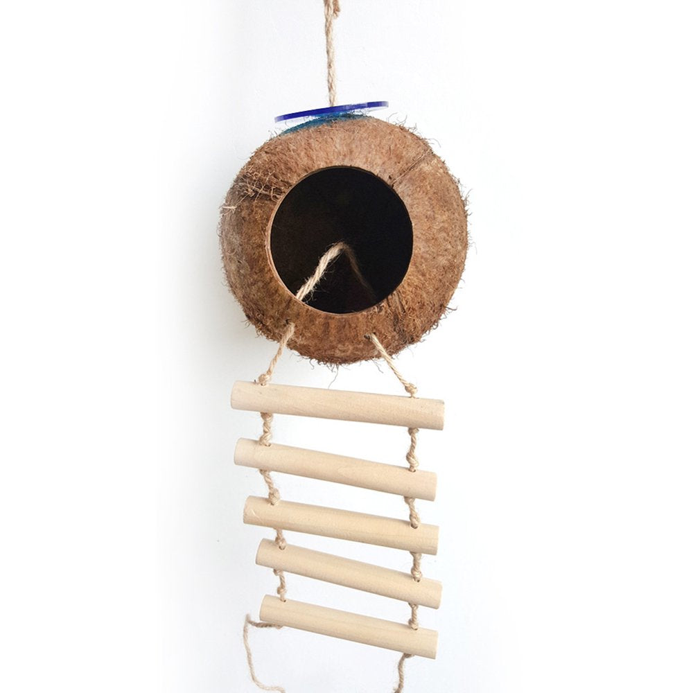 AURORA TRADE Hanging Coconut Bird House with Ladder,Natural Coconut Fiber Shell Bird Nest for Parrot Parakeet Lovebird Finch Canary,Coconut Hide Bird Swing Toys for Hamster,Bird Cage Accessories Animals & Pet Supplies > Pet Supplies > Bird Supplies > Bird Cage Accessories AURORA TRADE   