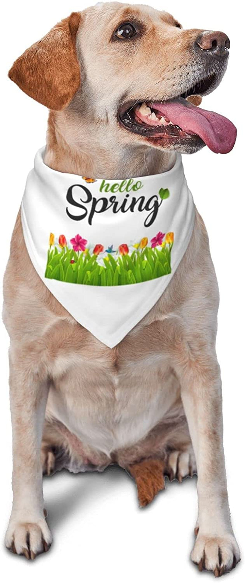 Beautiful Hello Spring Pet Dog and Cat Decorative Triangle Scarf,Dog Bandana,Breathable and Stain Resistant. Animals & Pet Supplies > Pet Supplies > Dog Supplies > Dog Apparel ZALTAS   