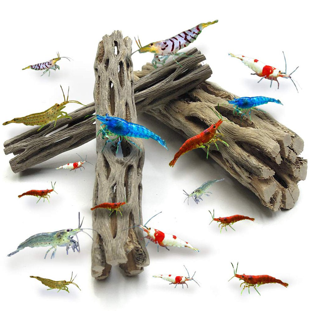 Sungrow Hermit Crab & Leopard Gecko Cholla Wood, for Aquarium Tank Driftwood Decor & Climbing Toy, 6-In, 3 Count Animals & Pet Supplies > Pet Supplies > Fish Supplies > Aquarium Decor Rion PTE. LTD.   