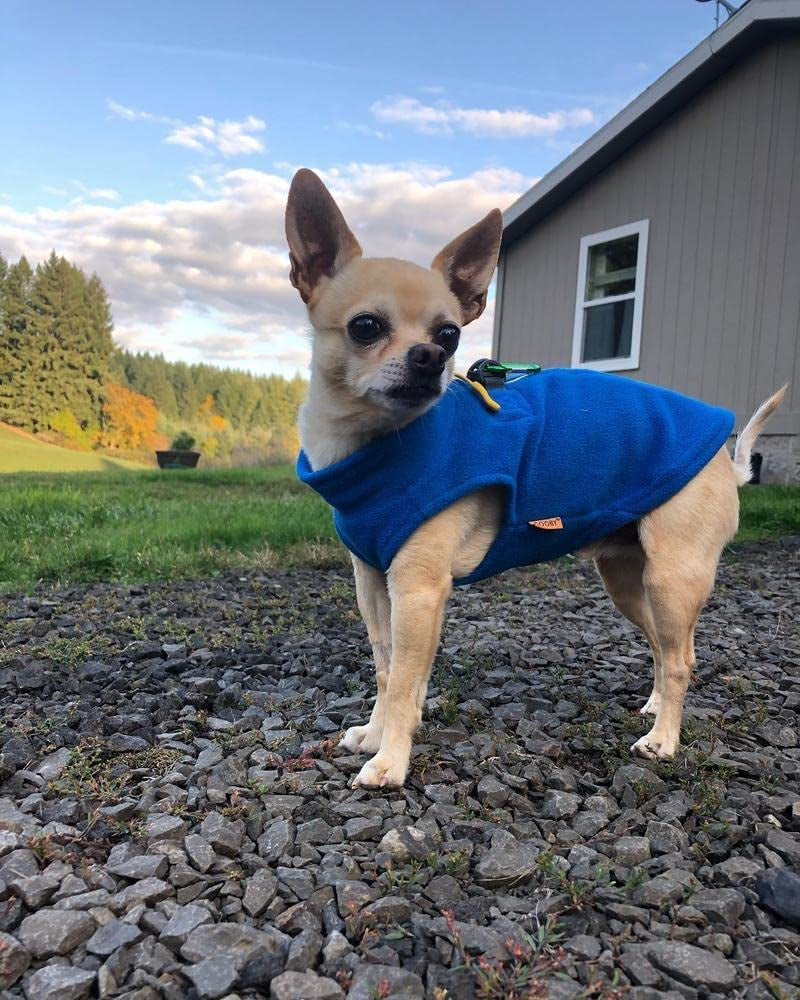 Gooby Zip up Fleece Dog Sweater - Blue, Medium - Warm Pullover Fleece Step-In Dog Jacket with Dual D Ring Leash - Winter Small Dog Sweater - Dog Clothes for Small Dogs Boy and Medium Dogs Animals & Pet Supplies > Pet Supplies > Dog Supplies > Dog Apparel Inafiction USA   