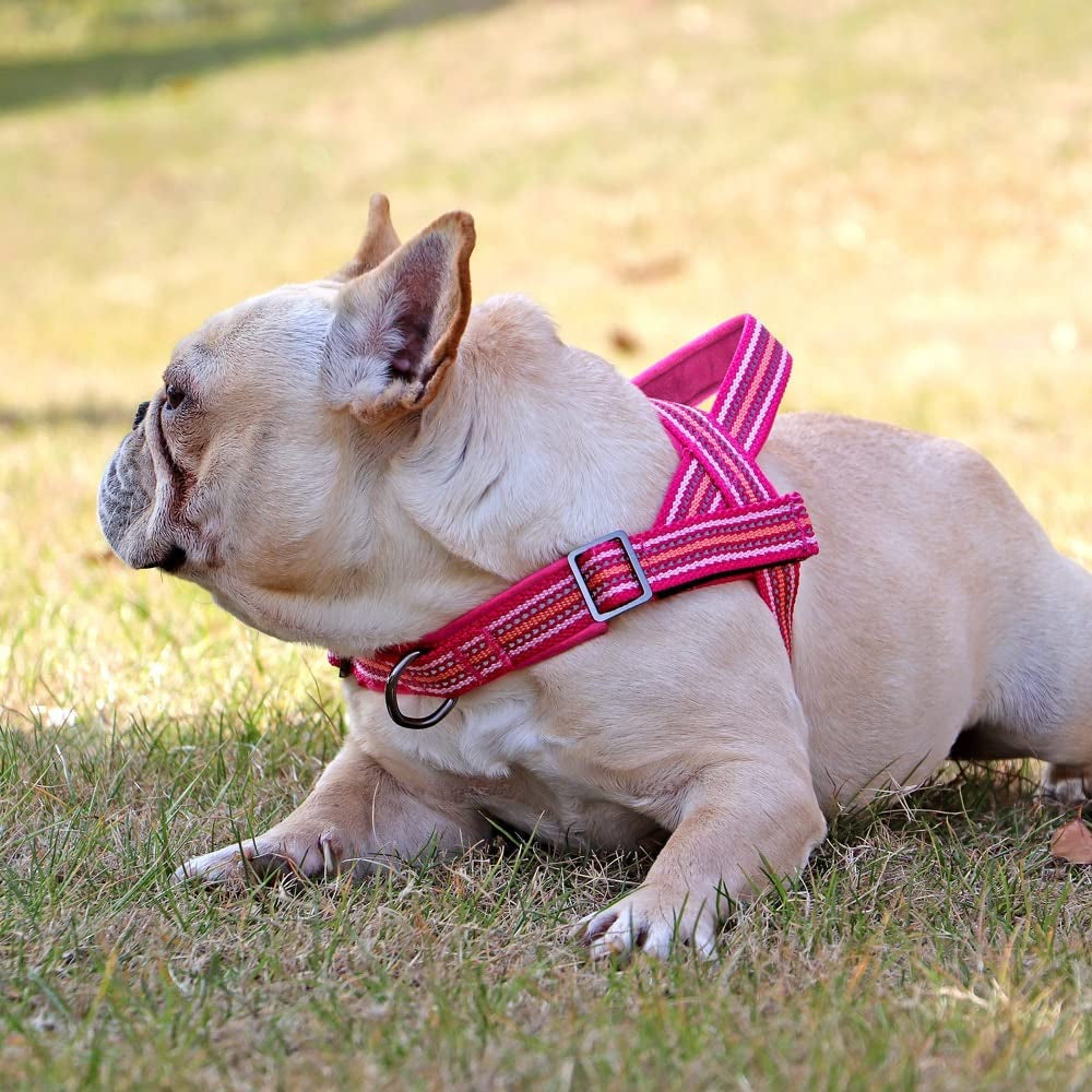 SXNBH No Pull Pet French Bulldog Harness Vest Nylon Padded Dog Harness Reflective Harnesses for Small Medium Large Dogs ( Color : E , Size : XL ) Animals & Pet Supplies > Pet Supplies > Dog Supplies > Dog Apparel chuju   