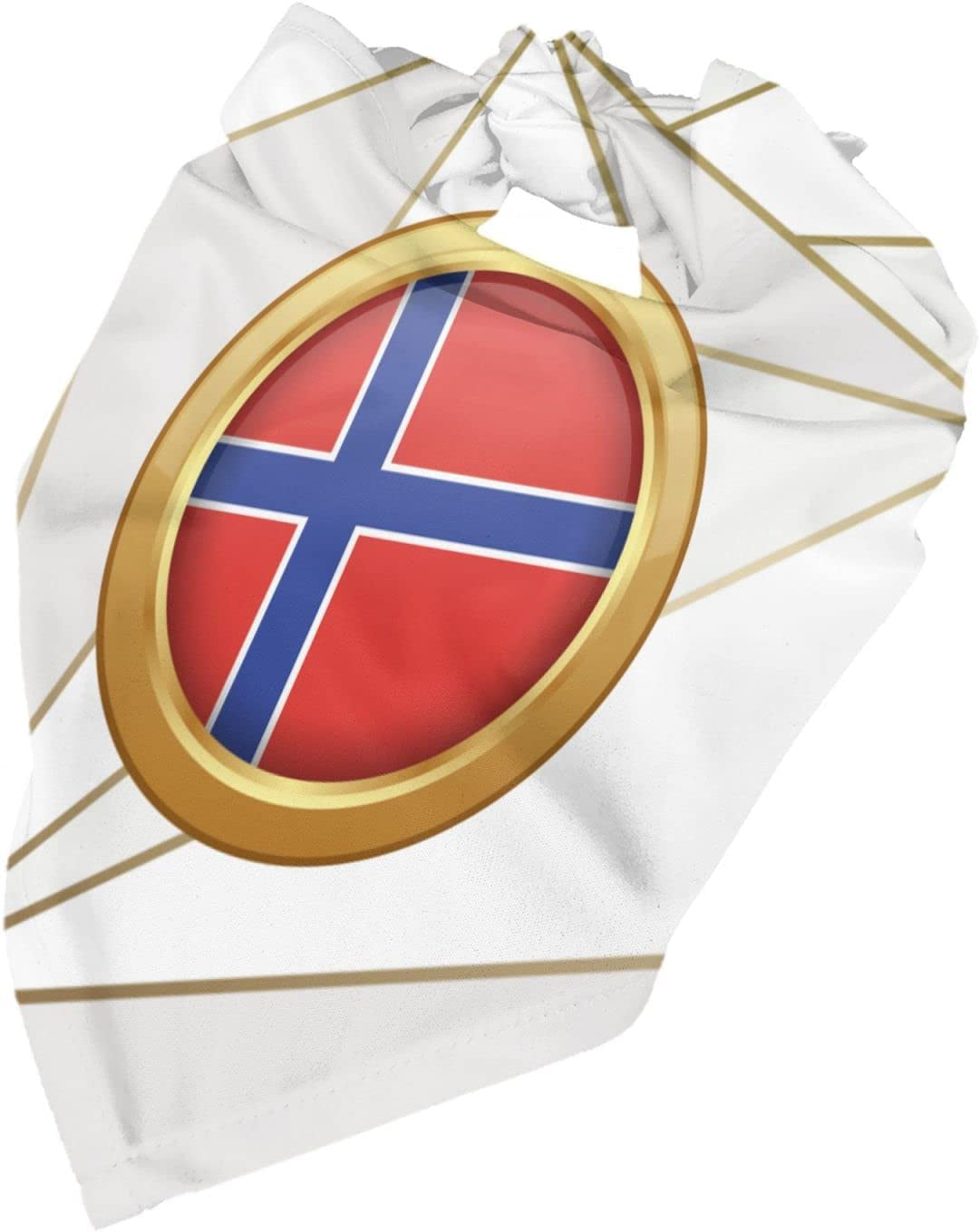 Golden Disc Norway Flag Pet Dog and Cat Decorative Triangle Scarf,Dog Bandana,Breathable and Stain Resistant. Animals & Pet Supplies > Pet Supplies > Dog Supplies > Dog Apparel ZALTAS   