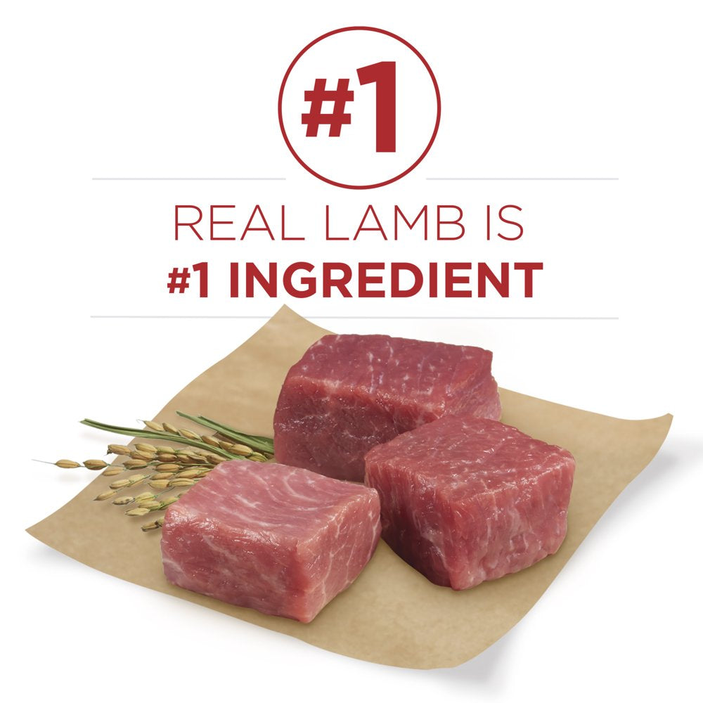 Purina ONE Natural Dry Dog Food, Smartblend Lamb & Rice Formula, 8 Lb. Bag Animals & Pet Supplies > Pet Supplies > Small Animal Supplies > Small Animal Food Nestlé Purina PetCare Company   