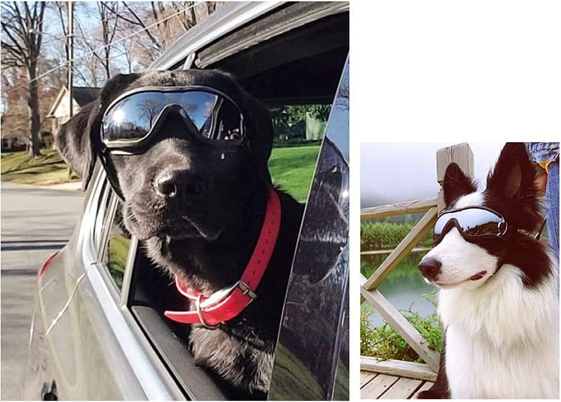 Gesuche Dog Sunglasses Dog Goggles,Uv Protection Wind Protection Dust Protection Snow Protection Fog Protection Pet Glasses Eye Wear Protection with Adjustable Strap for Medium or Large Dog Animals & Pet Supplies > Pet Supplies > Dog Supplies > Dog Apparel Gesuche   