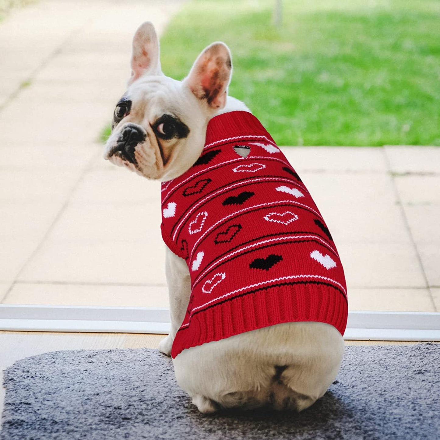 Queenmore Valentine Dog Sweater,Small Dog Sweater for Tiny Dogs,Teacups,Frenchies,Chihuahuas,Yorkies,Turtleneck Girl Dogs Red Knit Sweaters Red,Xs Animals & Pet Supplies > Pet Supplies > Dog Supplies > Dog Apparel Queenmore   