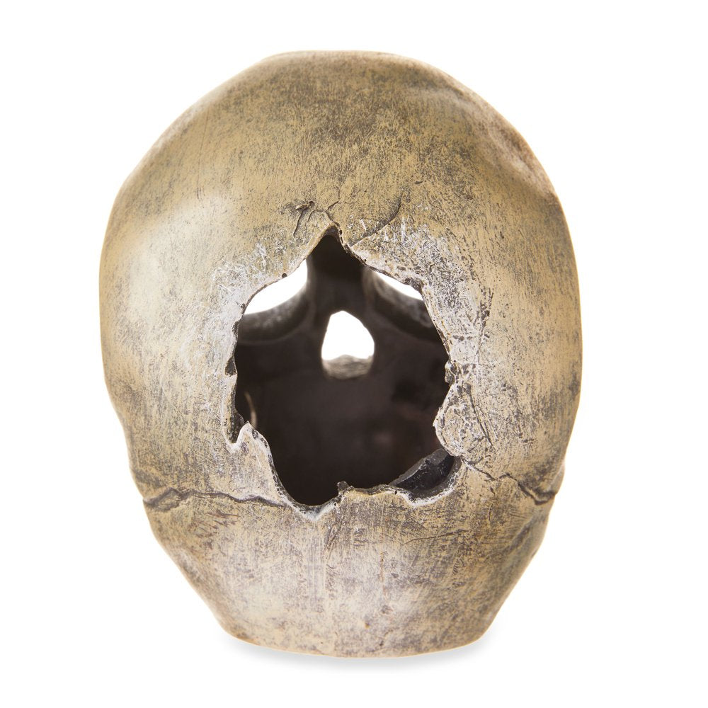 Aqua Culture Human Skull Aquarium Ornament Animals & Pet Supplies > Pet Supplies > Fish Supplies > Aquarium Decor Wal-Mart Stores, Inc.   