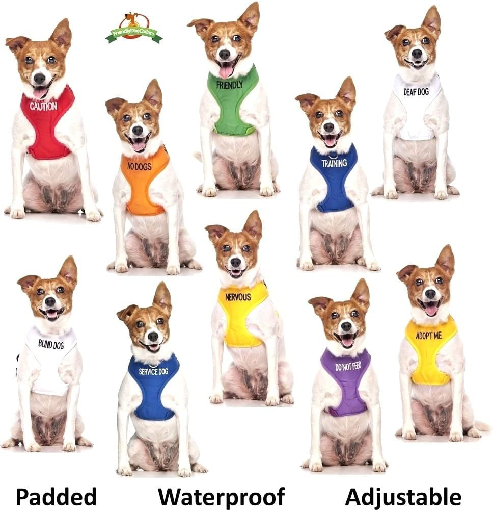 Dexil Limited Adopt ME Yellow Warm Dog Coats S-M M-L L-XL Waterproof Reflective Fleece Lined Donate to Your Local Charity (S-M Back 12" Animals & Pet Supplies > Pet Supplies > Dog Supplies > Dog Apparel FriendlyDogCollars   