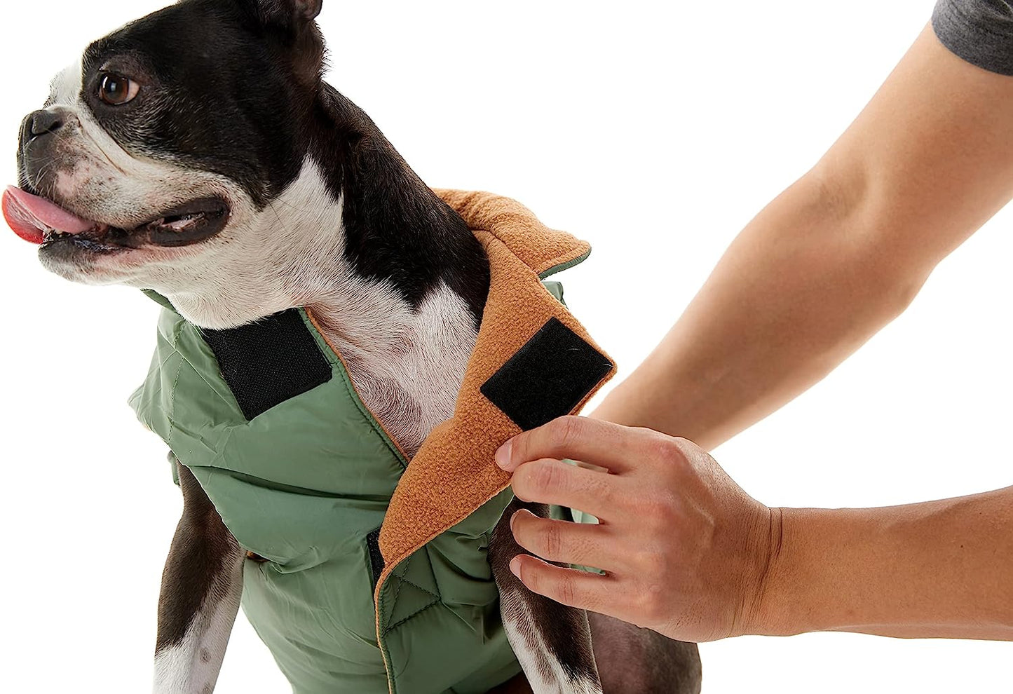 Gooby Sports Vest Dog Jacket - Green, Medium - Reflective Dog Vest with D Ring Leash - Warm Fleece Lined Small Dog Sweater, Hook and Loop Closure - Dog Clothes for Small Dogs Boy or Girl Dog Sweater Animals & Pet Supplies > Pet Supplies > Dog Supplies > Dog Apparel INADI   