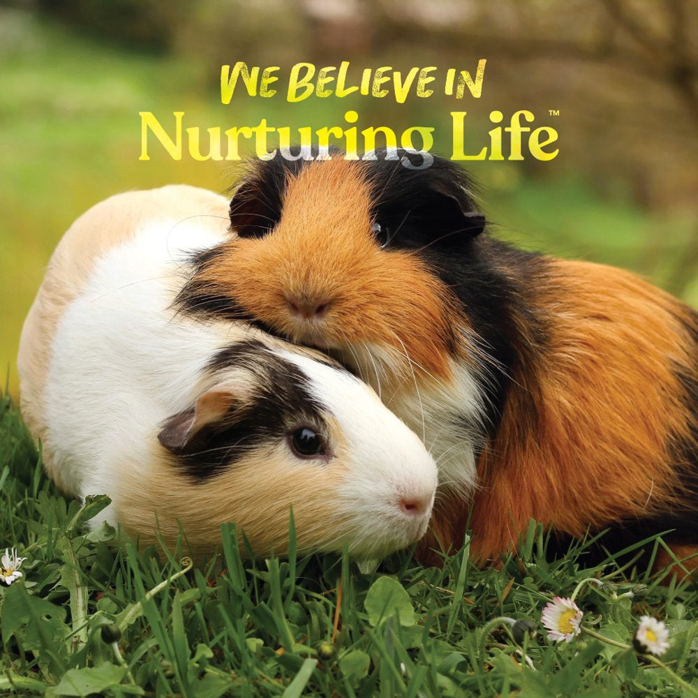 Small World Guinea Pig Complete Feed, Added Vitamin C, 9 Lbs Animals & Pet Supplies > Pet Supplies > Small Animal Supplies > Small Animal Food Manna Pro   