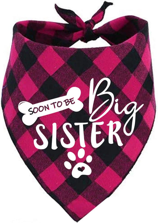 Big Sister Dog Bandana, Reversible Plaid Triangle Bibs Pet Scarf Animals & Pet Supplies > Pet Supplies > Dog Supplies > Dog Apparel Pawskido   