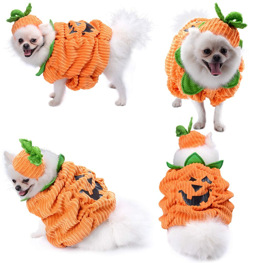 Dog Christmas Shirt, TINGOR Pet Clothes, Cute Cat Dog Christmas Pumpkin Costumes, Dog Apparel, Christmas Costumes for Dogs, Creative Christmas Pumpkin Shirts for Dogs Animals & Pet Supplies > Pet Supplies > Cat Supplies > Cat Apparel TINGOR   