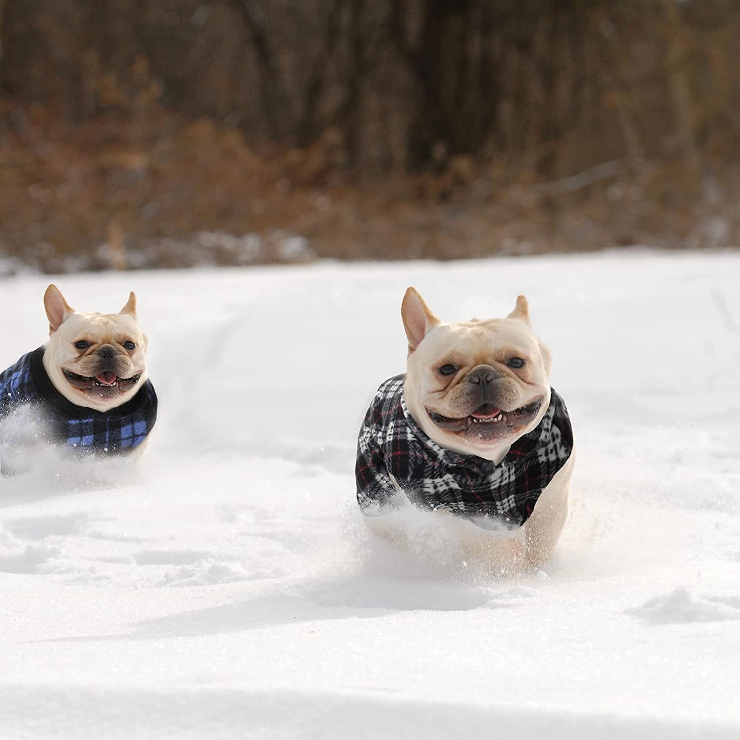 4 Pieces Winter Fabric Dog Sweater with Leash Ring Fleece Vest Dog Pullover Jacket Warm Pet Dog Clothes for Puppy Small Dogs Cat Chihuahua Boy (Plaid Pattern, XS) Animals & Pet Supplies > Pet Supplies > Dog Supplies > Dog Apparel Weewooday   