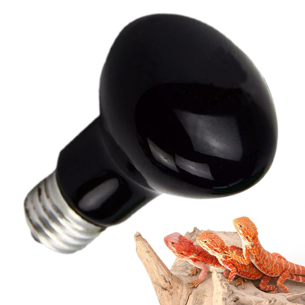 Fovolat Reptile Heat Bulb High Intensity UVA Light Bulb Heating Light for Reptiles and Amphibian Use Basking Light for Turtle Bearded Dragon Lizard Usefulness Animals & Pet Supplies > Pet Supplies > Reptile & Amphibian Supplies > Reptile & Amphibian Food Fovolat 70w for night use  