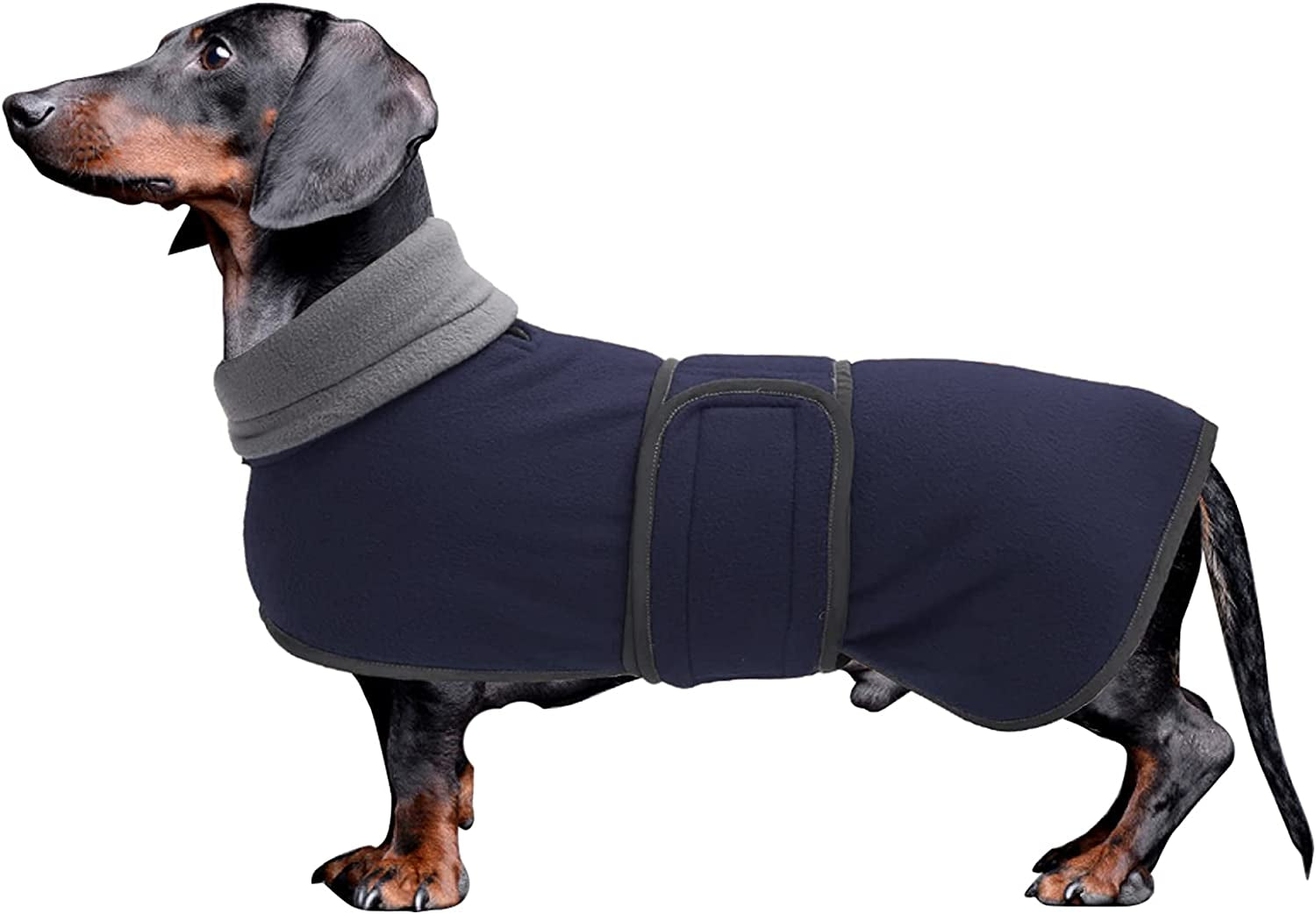 Dachshund Coats Sausage Dog Fleece Coat in Winter Miniature Dachshund Clothes with Hook and Loop Closure and High Vis Reflective Trim Safety - Red - S Animals & Pet Supplies > Pet Supplies > Dog Supplies > Dog Apparel Morezi Navy Medium(Back: 17"-18"in) 