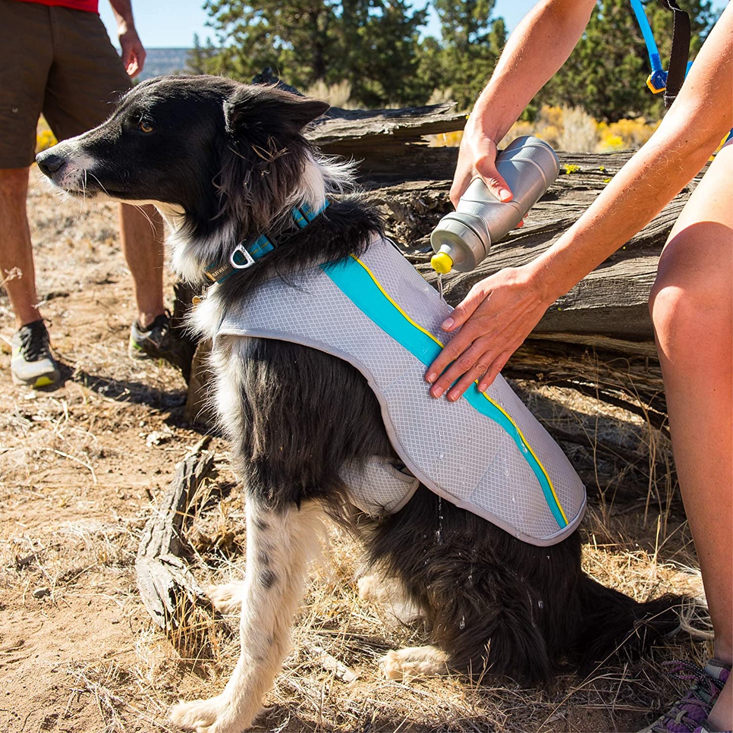 RUFFWEAR, Swamp Cooler Evaporative Dog Cooling Vest, Compatible with Harnesses, Graphite Gray, Small Animals & Pet Supplies > Pet Supplies > Dog Supplies > Dog Apparel Ruffwear   