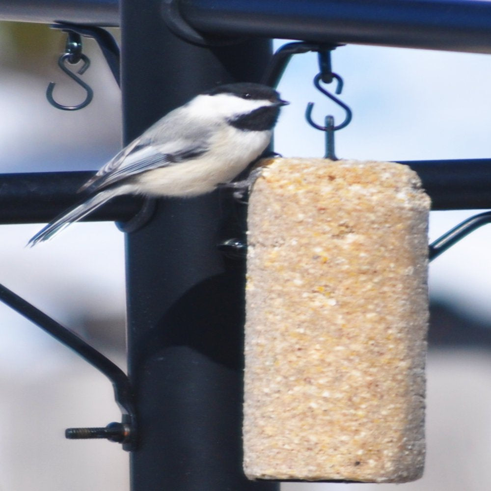 C&S Peanut Delight RTU No Melt Suet Dough, 1 Lb Log, Wild Bird Food Animals & Pet Supplies > Pet Supplies > Bird Supplies > Bird Food Central Garden and Pet   