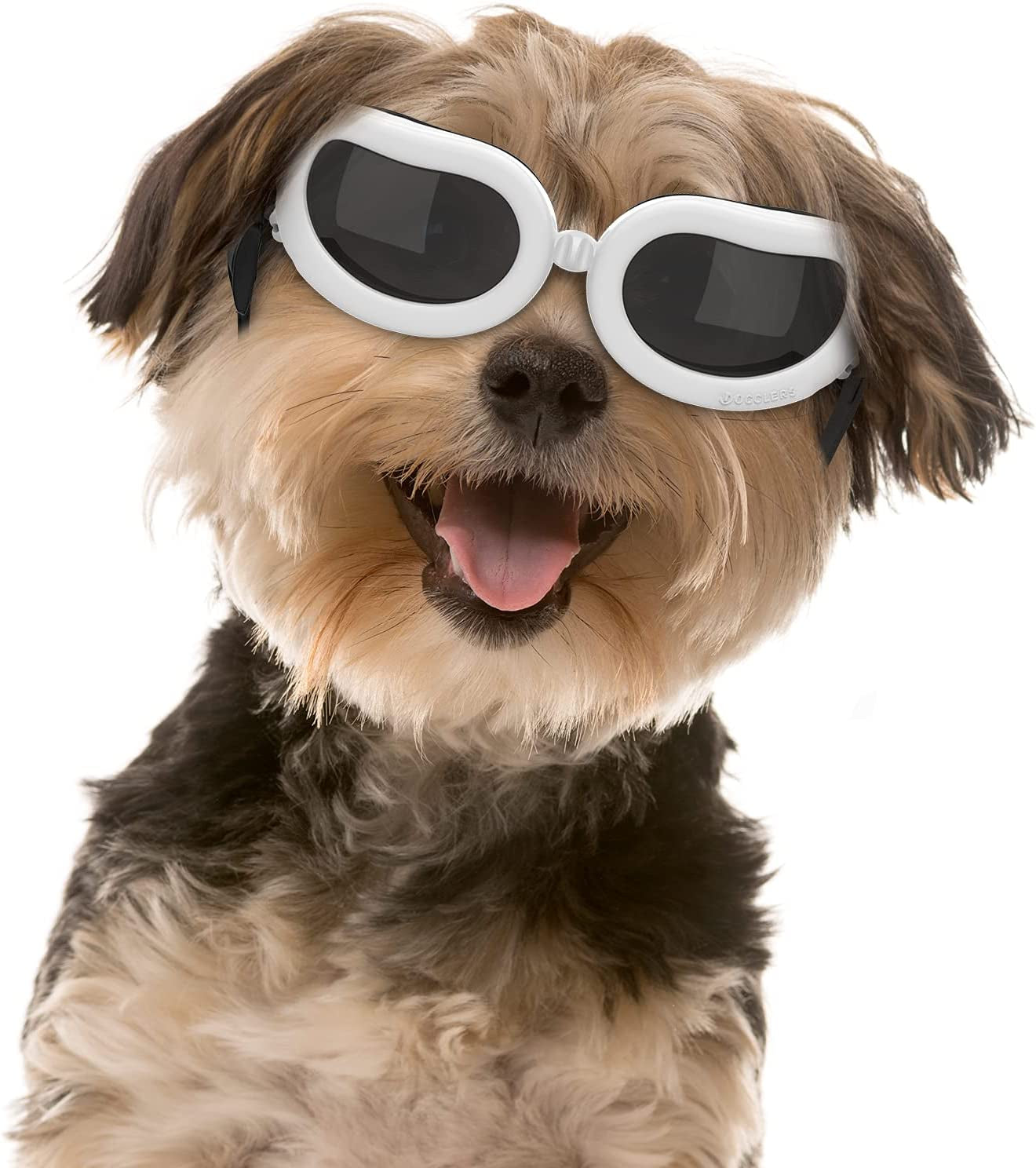 Pawaboo Dog Sunglasses, Small Dog Goggles with Adjustable Band, Waterproof Windproof Snowproof Cool Glasses for Puppy and Cat, Black Animals & Pet Supplies > Pet Supplies > Dog Supplies > Dog Apparel Pawaboo White  