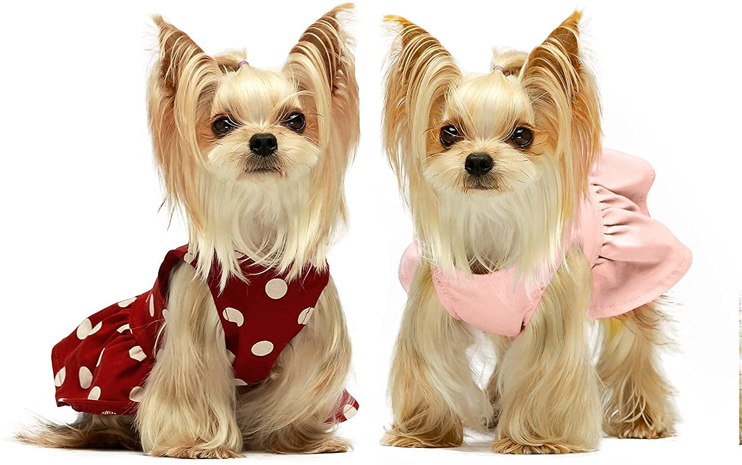 Fitwarm 2-Pack 100% Cotton Polka Dot Dog Dress Doggie Clothes Puppy Vest Dress Pet Cat Apparel Blue Purple Small Animals & Pet Supplies > Pet Supplies > Cat Supplies > Cat Apparel Fitwarm S Red 