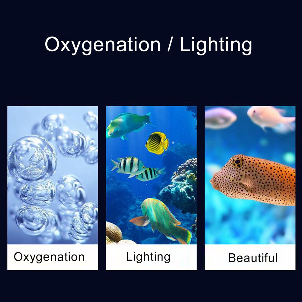 HEVIRGO Fish Tank Lampe Colorée Augmentant La Bulle D'oxygène